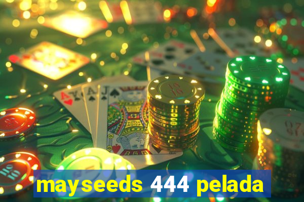 mayseeds 444 pelada